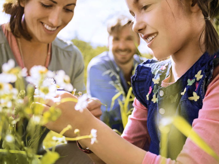 Dies ist der alt-Text